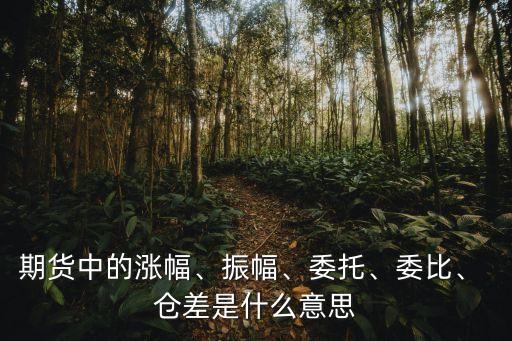 期貨中的漲幅、振幅、委托、委比、 倉差是什么意思