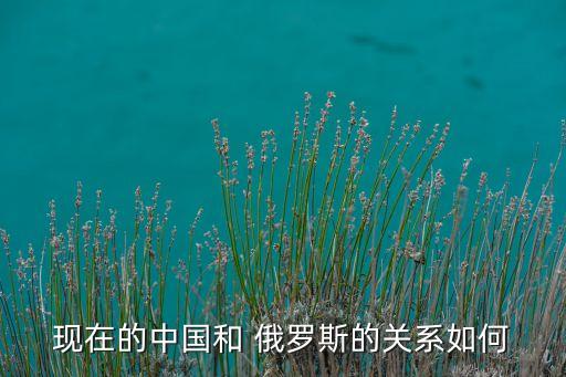 現(xiàn)在的中國和 俄羅斯的關系如何