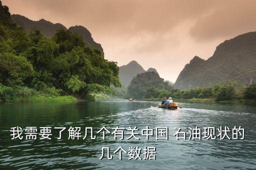 我需要了解幾個有關中國 石油現(xiàn)狀的幾個數(shù)據(jù)