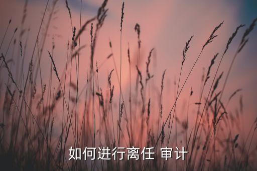 如何進(jìn)行離任 審計