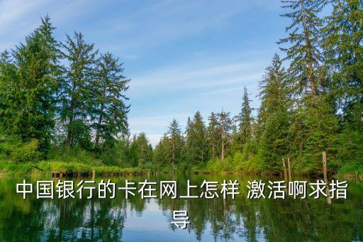 中國(guó)銀行的卡在網(wǎng)上怎樣 激活啊求指導(dǎo)