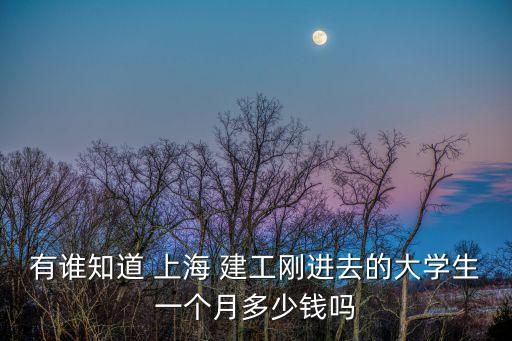 有誰知道 上海 建工剛進去的大學生一個月多少錢嗎
