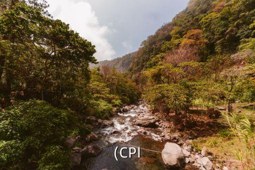 中國人均消費指數(shù),2023人均消費指數(shù)CPI