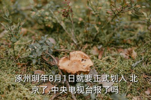  涿州明年8月1日就要正式劃入 北京了,中央電視臺報(bào)了嗎
