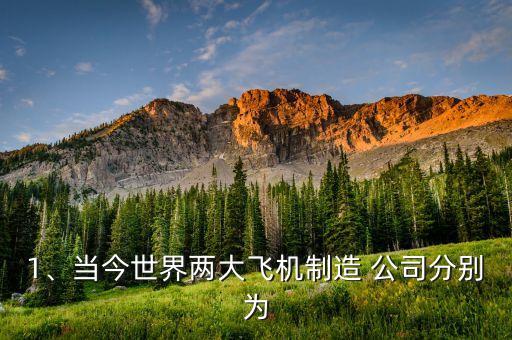 1、當(dāng)今世界兩大飛機(jī)制造 公司分別為