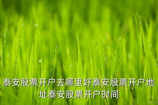 泰安股票開(kāi)戶(hù)去哪里好泰安股票開(kāi)戶(hù)地址泰安股票開(kāi)戶(hù)時(shí)間
