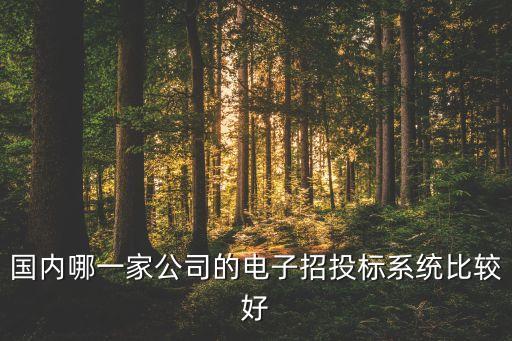 萬達集團網(wǎng)上招標(biāo)管理系統(tǒng)