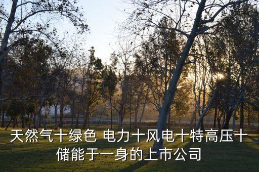 上海電力是否涉足核電產業(yè)