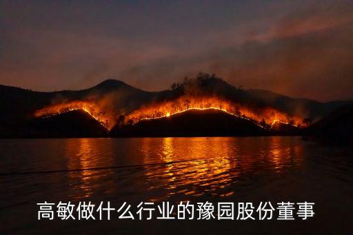 上海復(fù)星高科技集團