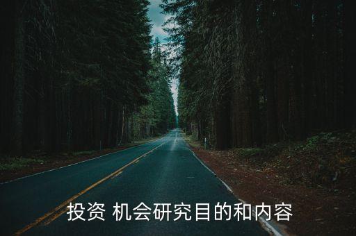  投資 機會研究目的和內容