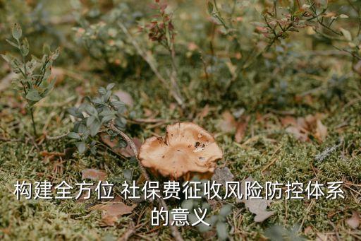 構建全方位 社保費征收風險防控體系的意義