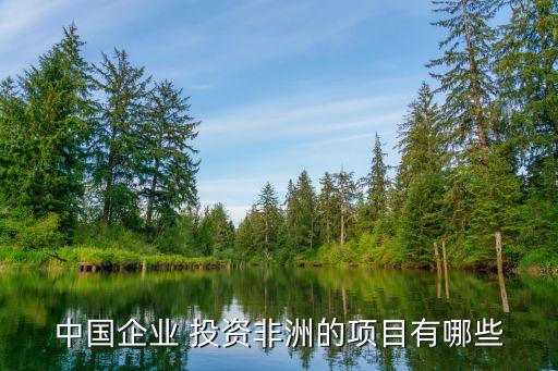 中國在投資哪些國家,國家認(rèn)可的投資平臺(tái)有哪些