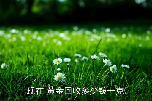 現(xiàn)在 黃金回收多少錢(qián)一克