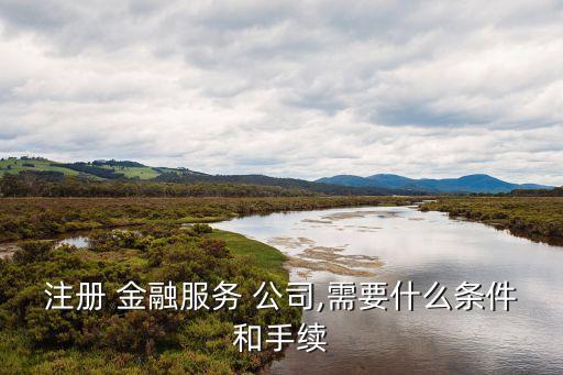 金融服務(wù)公司如何經(jīng)營,注冊(cè)金融服務(wù)公司需要什么條件