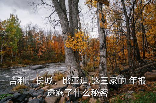吉利、長城、比亞迪,這三家的 年報(bào)透露了什么秘密