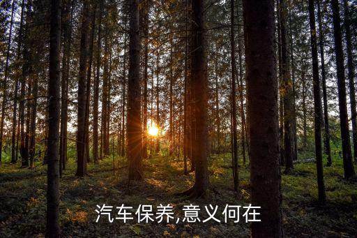 汽車(chē)保養(yǎng),意義何在