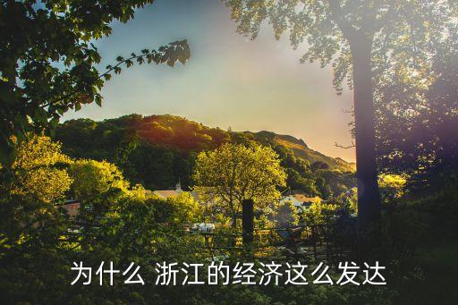 為什么 浙江的經(jīng)濟這么發(fā)達(dá)