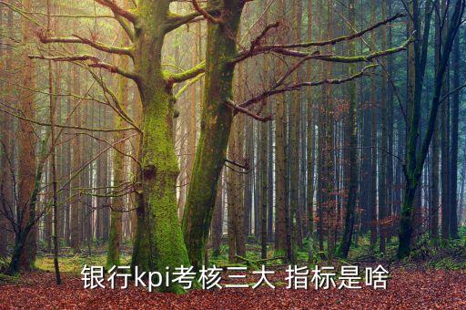  銀行kpi考核三大 指標是啥