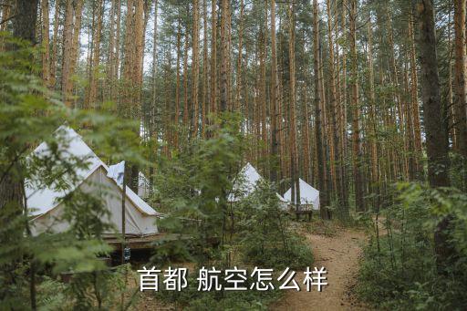 漢華公務機航空有限公司,深圳首領航空公務機科技發(fā)展有限公司