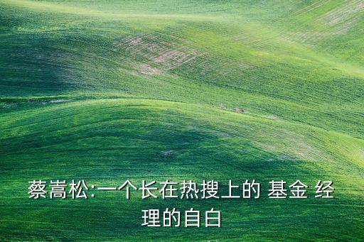 蔡嵩松:一個長在熱搜上的 基金 經理的自白