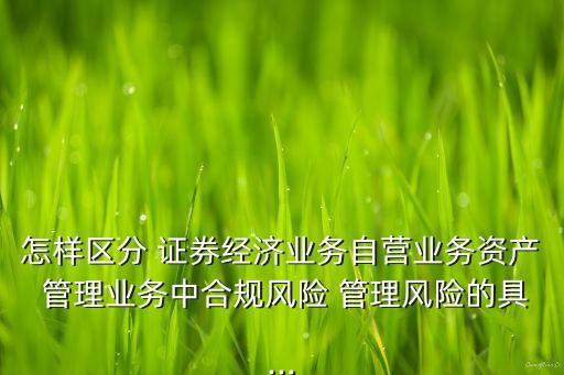 怎樣區(qū)分 證券經(jīng)濟業(yè)務(wù)自營業(yè)務(wù)資產(chǎn) 管理業(yè)務(wù)中合規(guī)風(fēng)險 管理風(fēng)險的具...