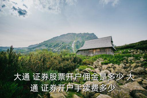  大通 證券股票開(kāi)戶傭金是多少 大通 證券開(kāi)戶手續(xù)費(fèi)多少