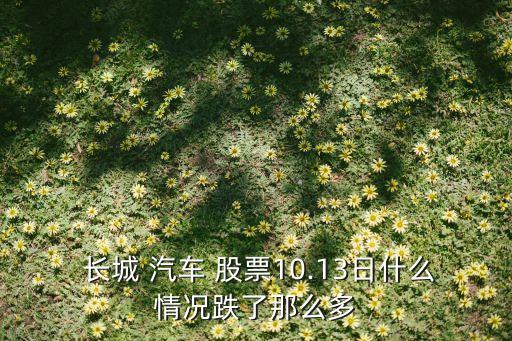  長(zhǎng)城 汽車(chē) 股票10.13日什么情況跌了那么多