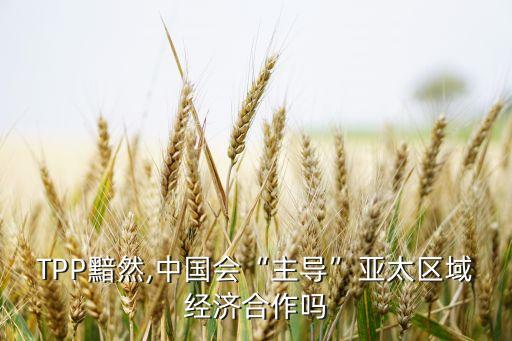 中國應(yīng)對(duì)tpp