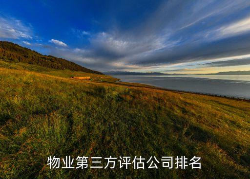 重慶新港長龍有限公司,重慶合力新港房地產顧問有限公司