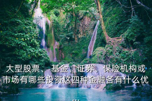 大型股票、 基金、證券、保險機(jī)構(gòu)或市場有哪些投資這四種金融各有什么優(yōu)...
