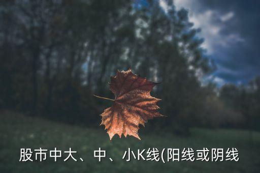 股市中大、中、小K線(陽(yáng)線或陰線