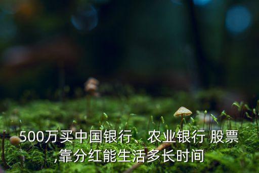500萬(wàn)買(mǎi)中國(guó)銀行、農(nóng)業(yè)銀行 股票,靠分紅能生活多長(zhǎng)時(shí)間