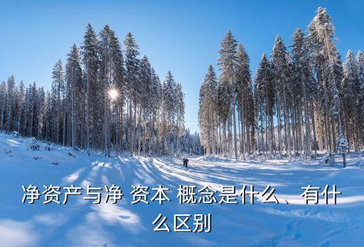凈資產(chǎn)與凈 資本 概念是什么、有什么區(qū)別