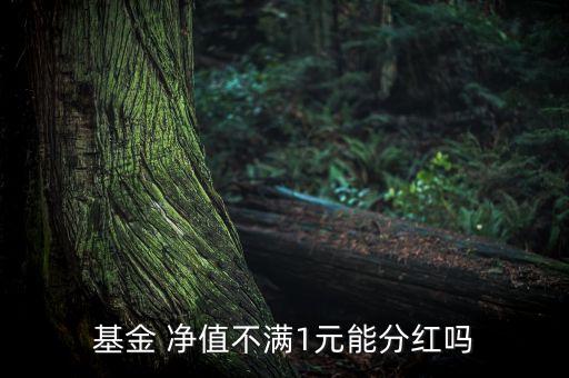 權(quán)益投資顧問(wèn)不得低于什么凈值,投資單只權(quán)益類(lèi)理財(cái)產(chǎn)品不得低于