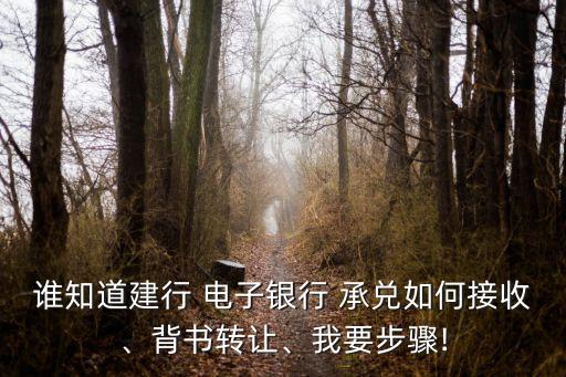 誰知道建行 電子銀行 承兌如何接收、背書轉(zhuǎn)讓、我要步驟!