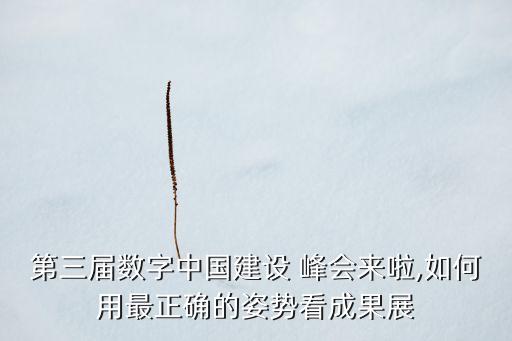 第三屆數(shù)字中國(guó)建設(shè) 峰會(huì)來(lái)啦,如何用最正確的姿勢(shì)看成果展