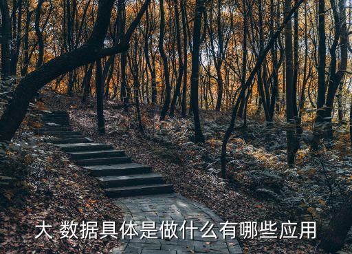 大 數據具體是做什么有哪些應用