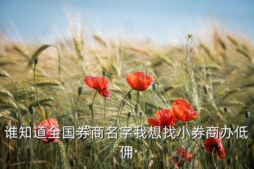上海中天證券的傭金,中天證券上海武夷路營(yíng)業(yè)部