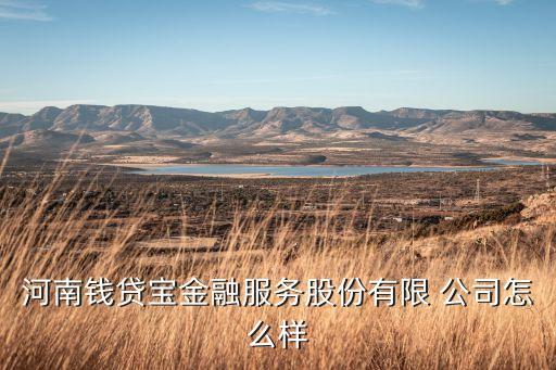 河南錢貸寶金融服務股份有限 公司怎么樣
