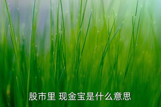 現(xiàn)金寶刪除銀行卡,為什么現(xiàn)金寶的錢轉不到銀行卡