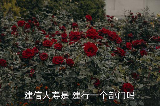 建信人壽是 建行一個(gè)部門(mén)嗎