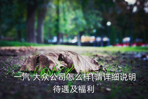 在一汽大眾財務有限公司工作好嗎