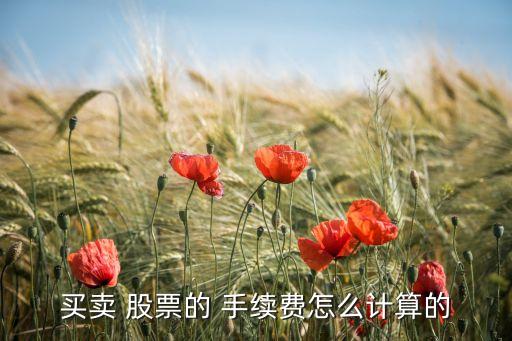 買(mǎi)賣 股票的 手續(xù)費(fèi)怎么計(jì)算的