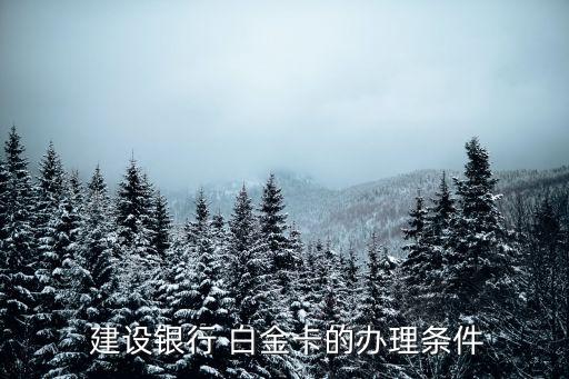  建設銀行 白金卡的辦理條件