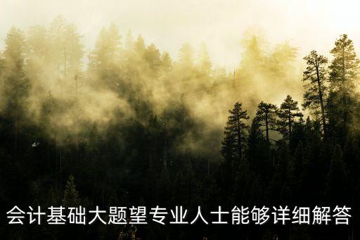 會計基礎(chǔ)大題望專業(yè)人士能夠詳細解答