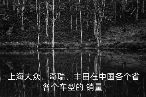  上海大眾、奇瑞、豐田在中國各個省各個車型的 銷量