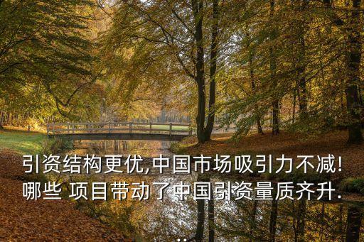 引資結(jié)構更優(yōu),中國市場吸引力不減!哪些 項目帶動了中國引資量質(zhì)齊升...