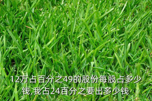 12萬(wàn)占百分之49的股份每股占多少錢,我占24百分之要出多少錢