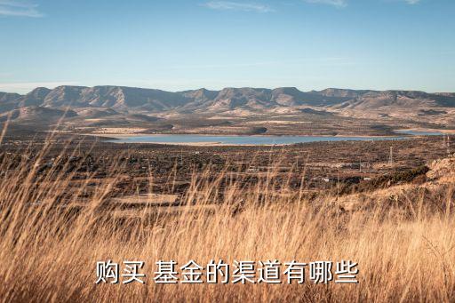 購(gòu)買 基金的渠道有哪些
