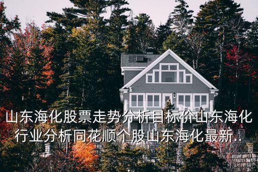 山東海化股票走勢(shì)分析目標(biāo)價(jià)山東?；袠I(yè)分析同花順個(gè)股山東海化最新...
